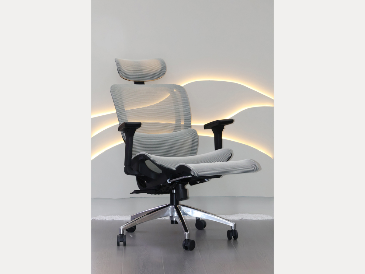 人體工學(xué)椅子/可躺辦公椅/腰靠護(hù)腰電腦椅-5